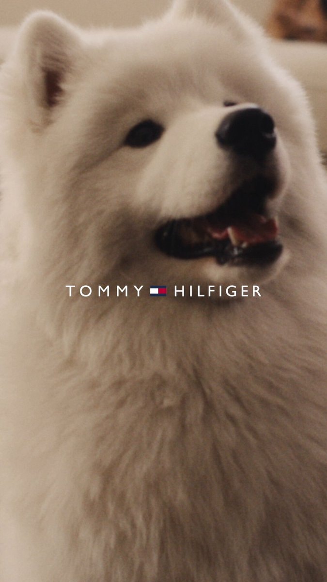 Taylor Swift Travis Kelce Tommy Hilfiger ad
