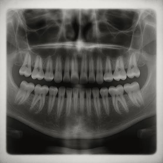 Japan tooth regrowth drug trials