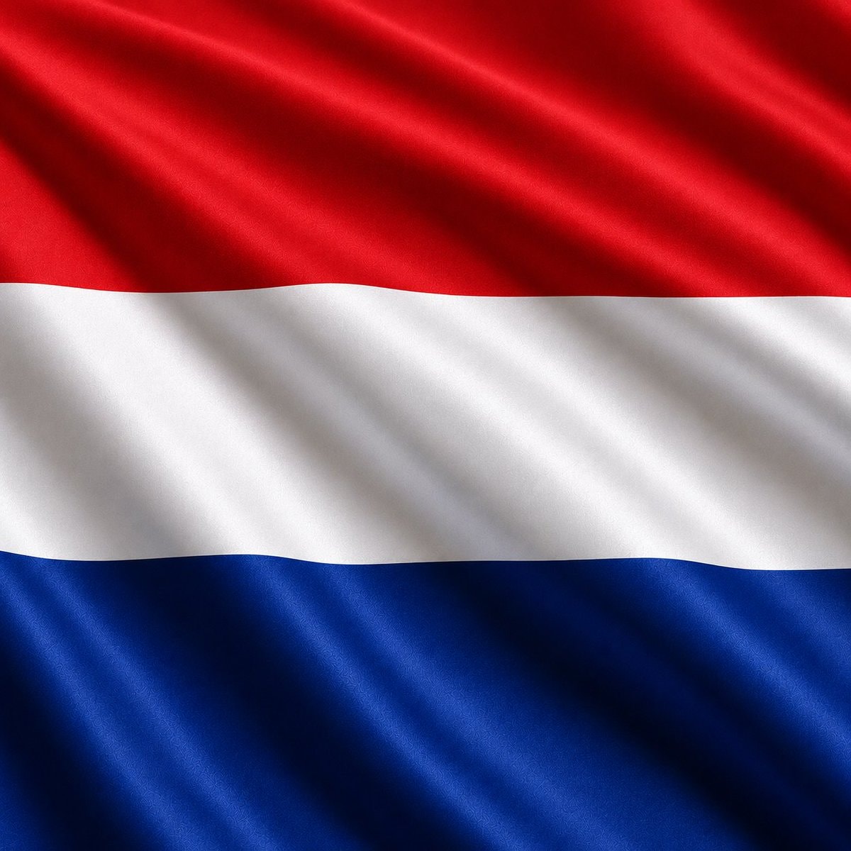 Virgil van Dijk Netherlands kit (photo 2 of 2)