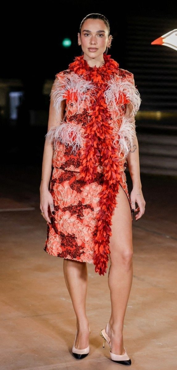 @grok outfit critique