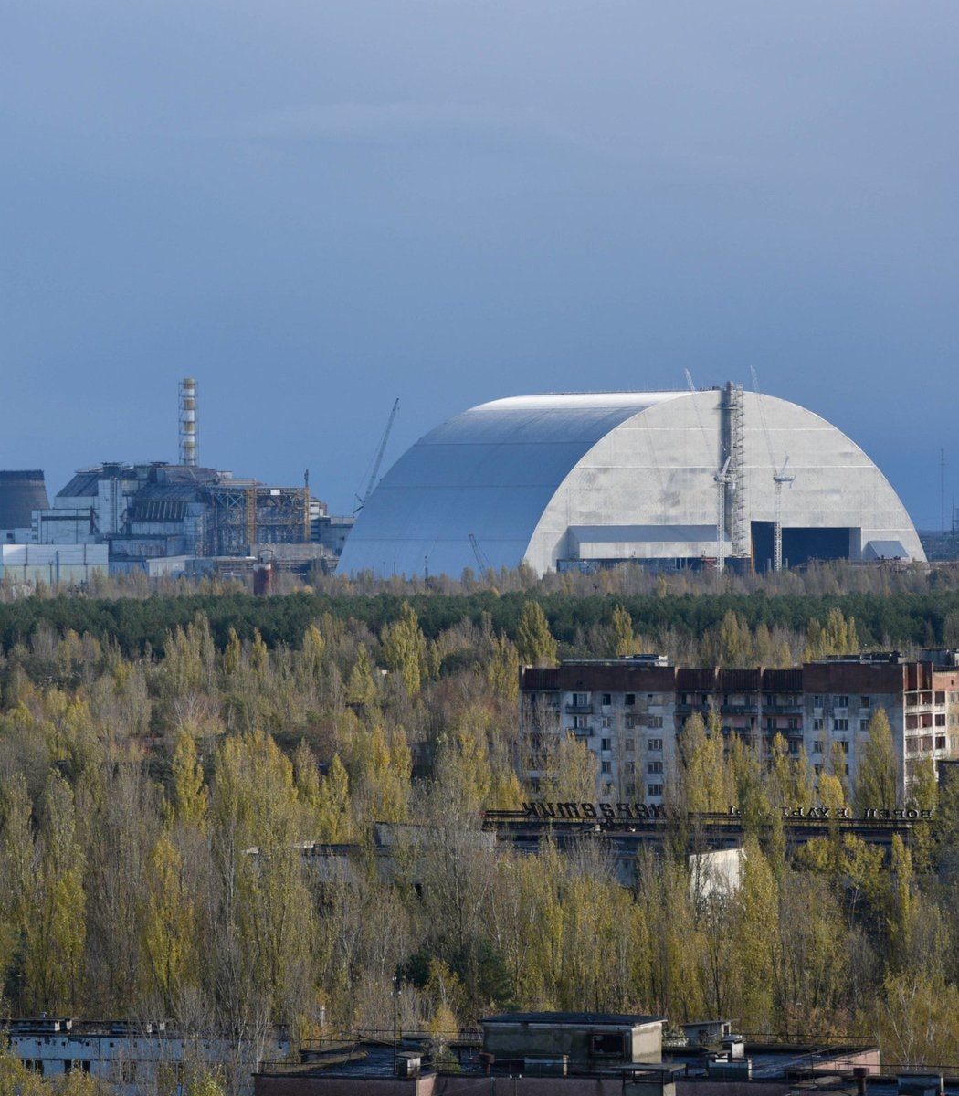 Chernobyl wildlife recovery (photo 1 of 2)