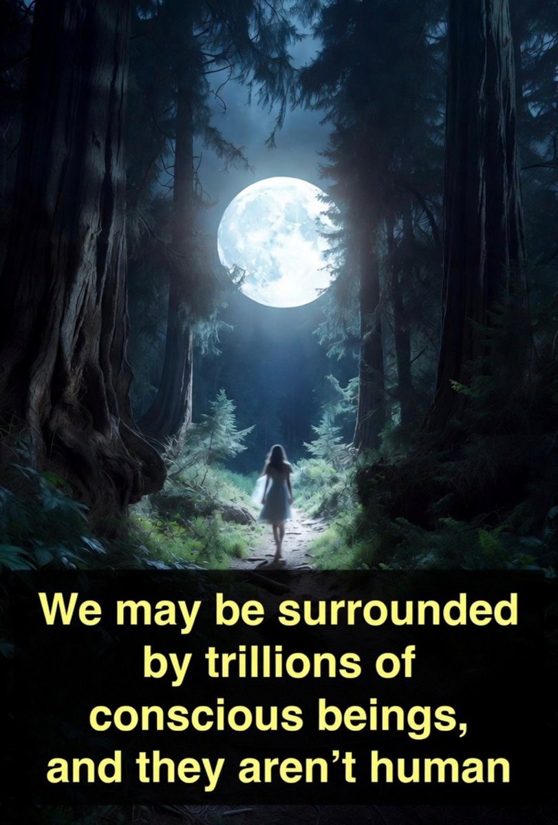 Consciousness in plants