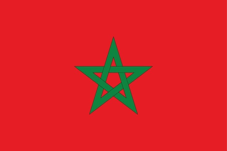 Morocco FIFA World Cup history (photo 2 of 2)