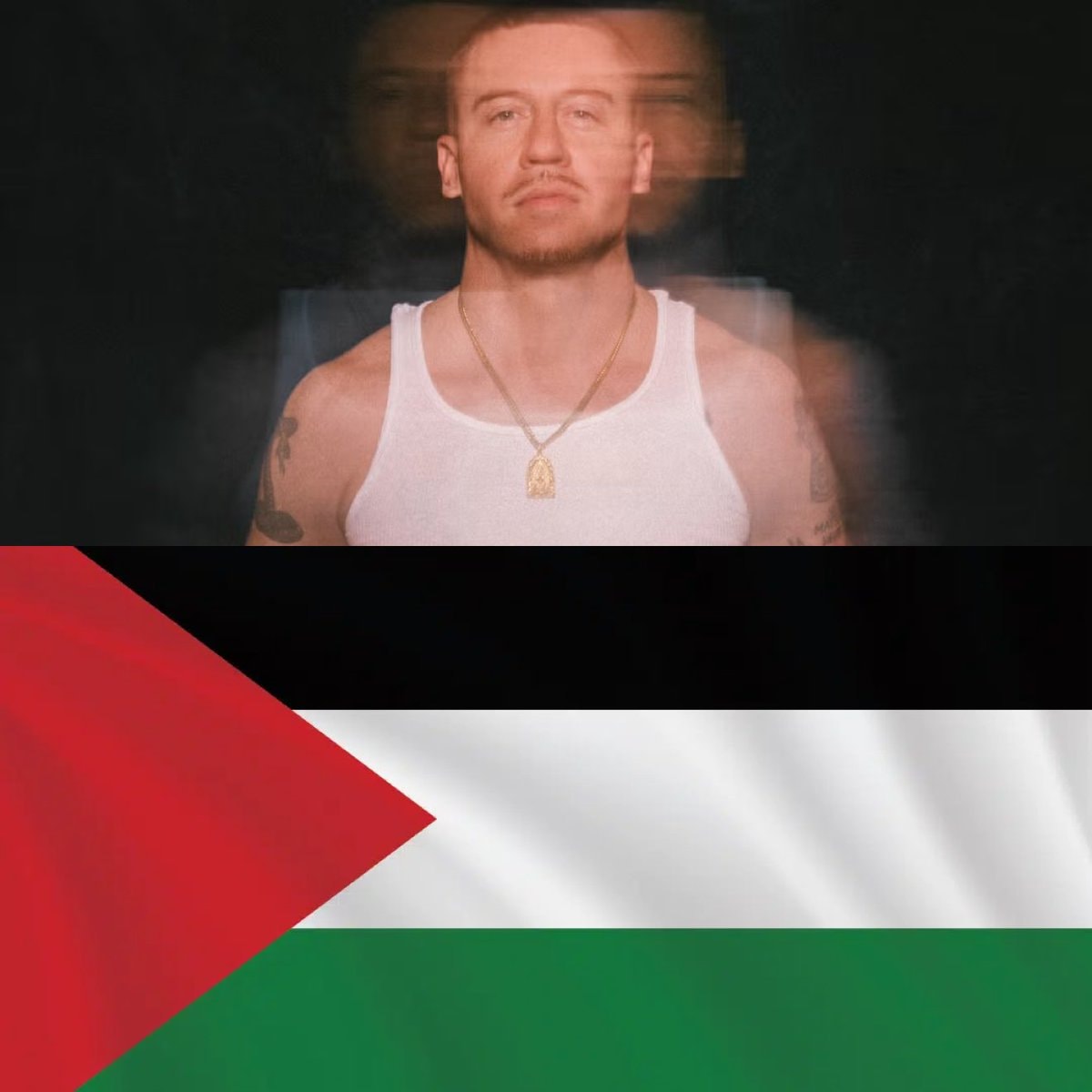Macklemore Ed Sheeran tour removal
