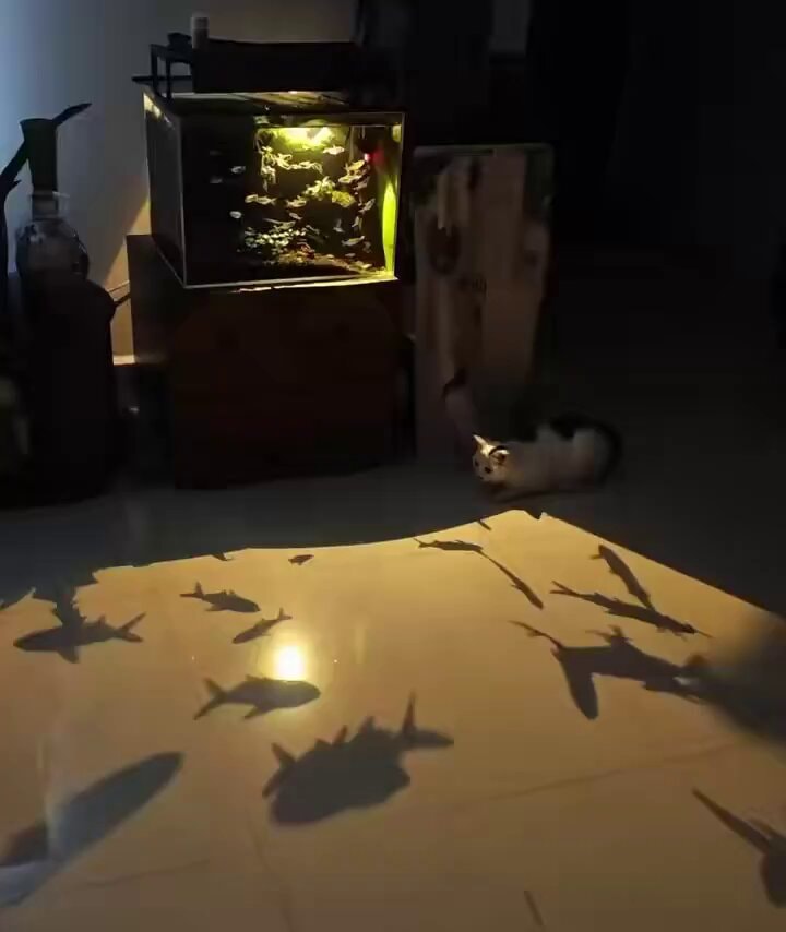 best light and shadow composition