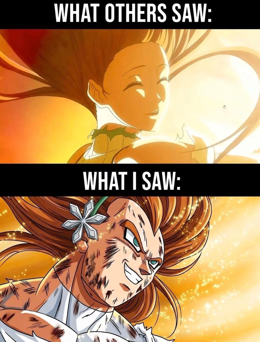 anime expectation vs reality meme