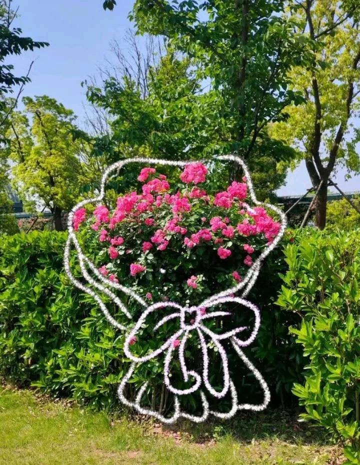 lilyavibe rose bush edit (photo 2 of 2)
