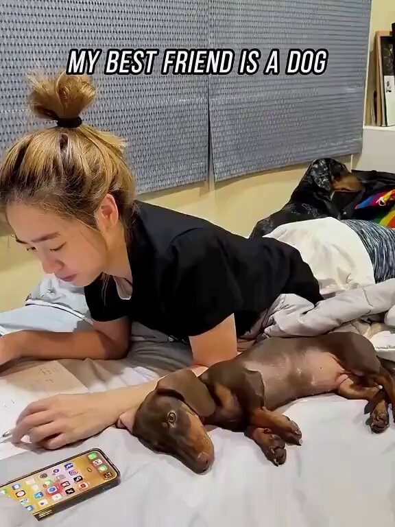 dog family love
