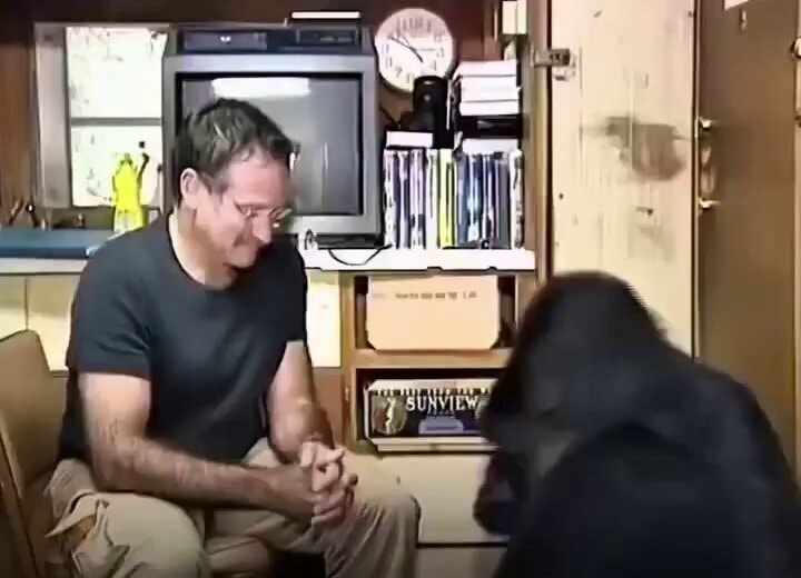 Robin Williams and Koko the gorilla