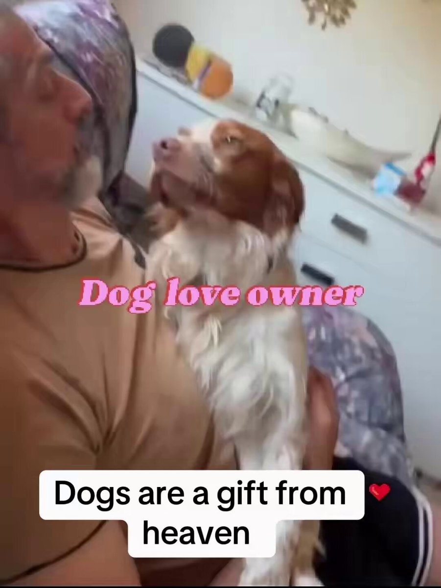 unconditional love with a dog