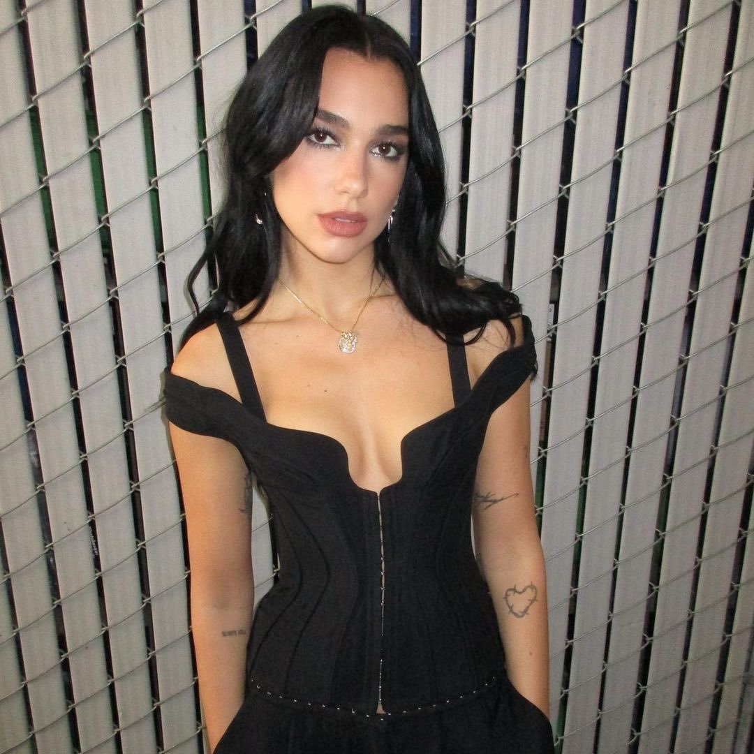 Dua Lipa look evolution (photo 2 of 2)