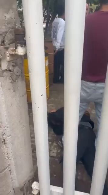 Mexico school attack aftermath