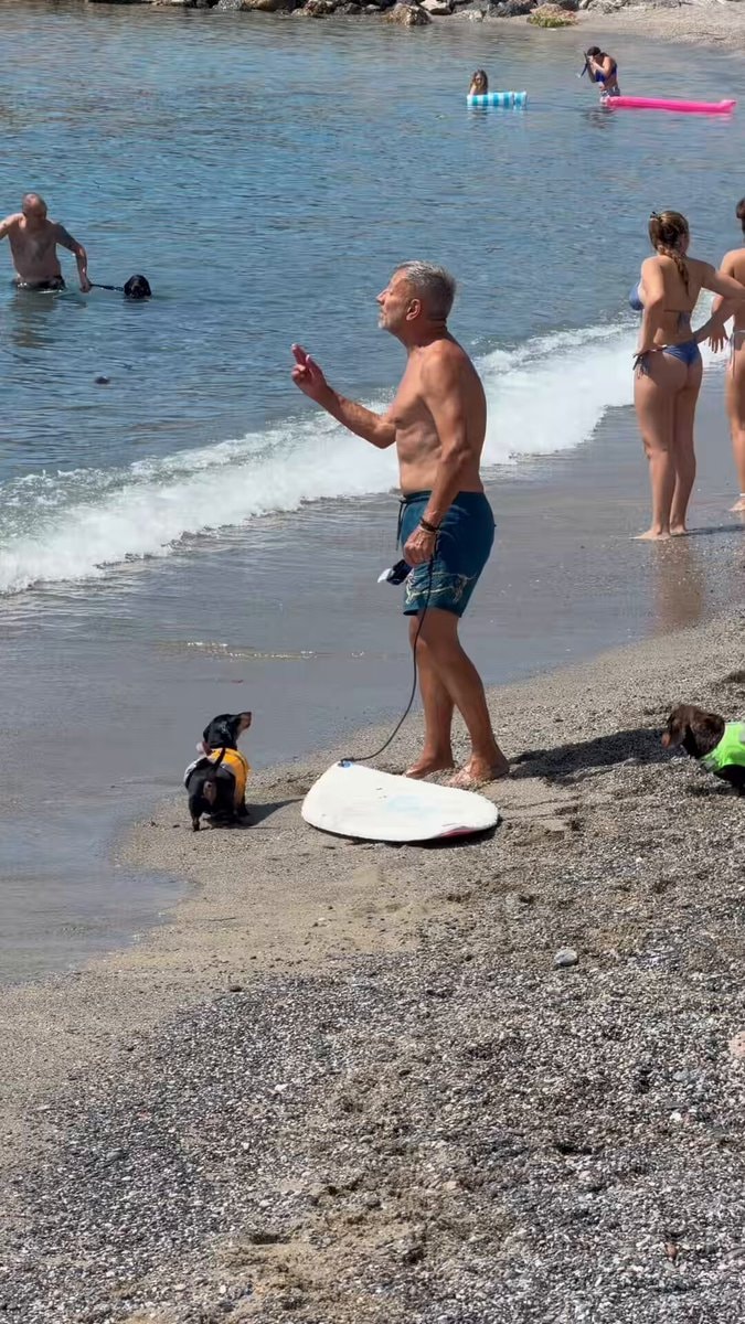 Dachshund in yellow life vest at the beach