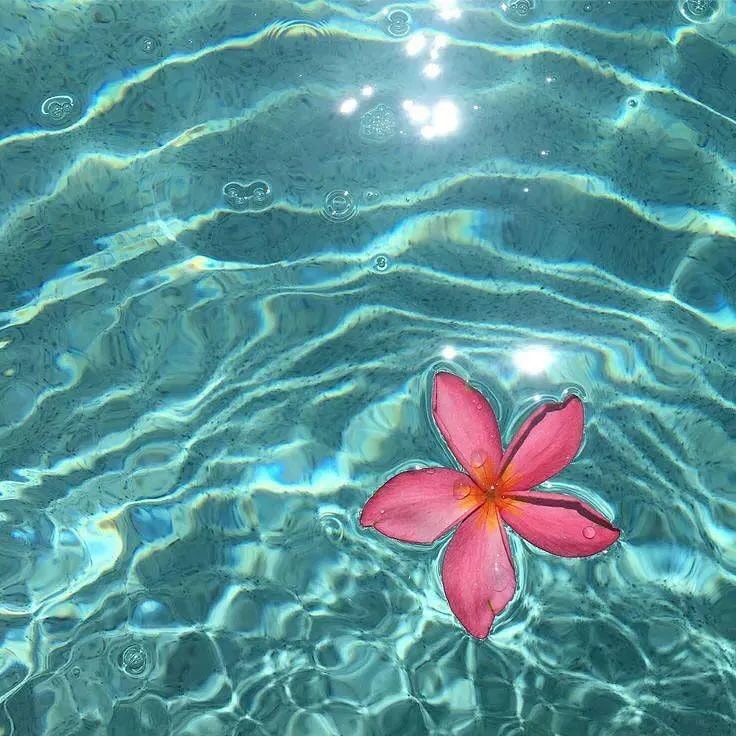Coral reef crystal waters (photo 2 of 4)