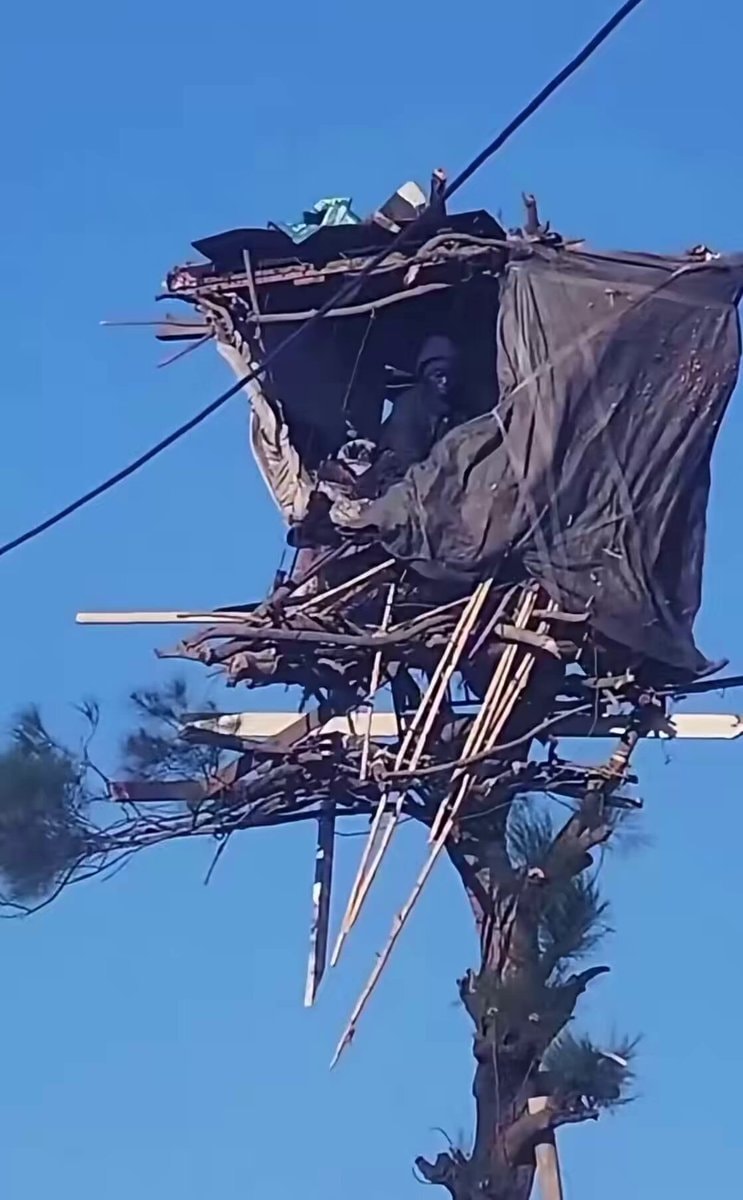 mad Max lore mad Max lore