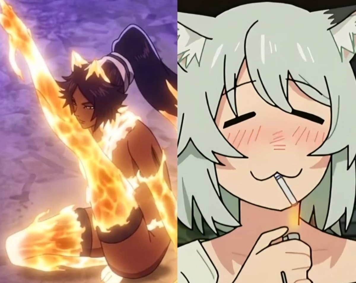 anime cat comparison anime cat comparison