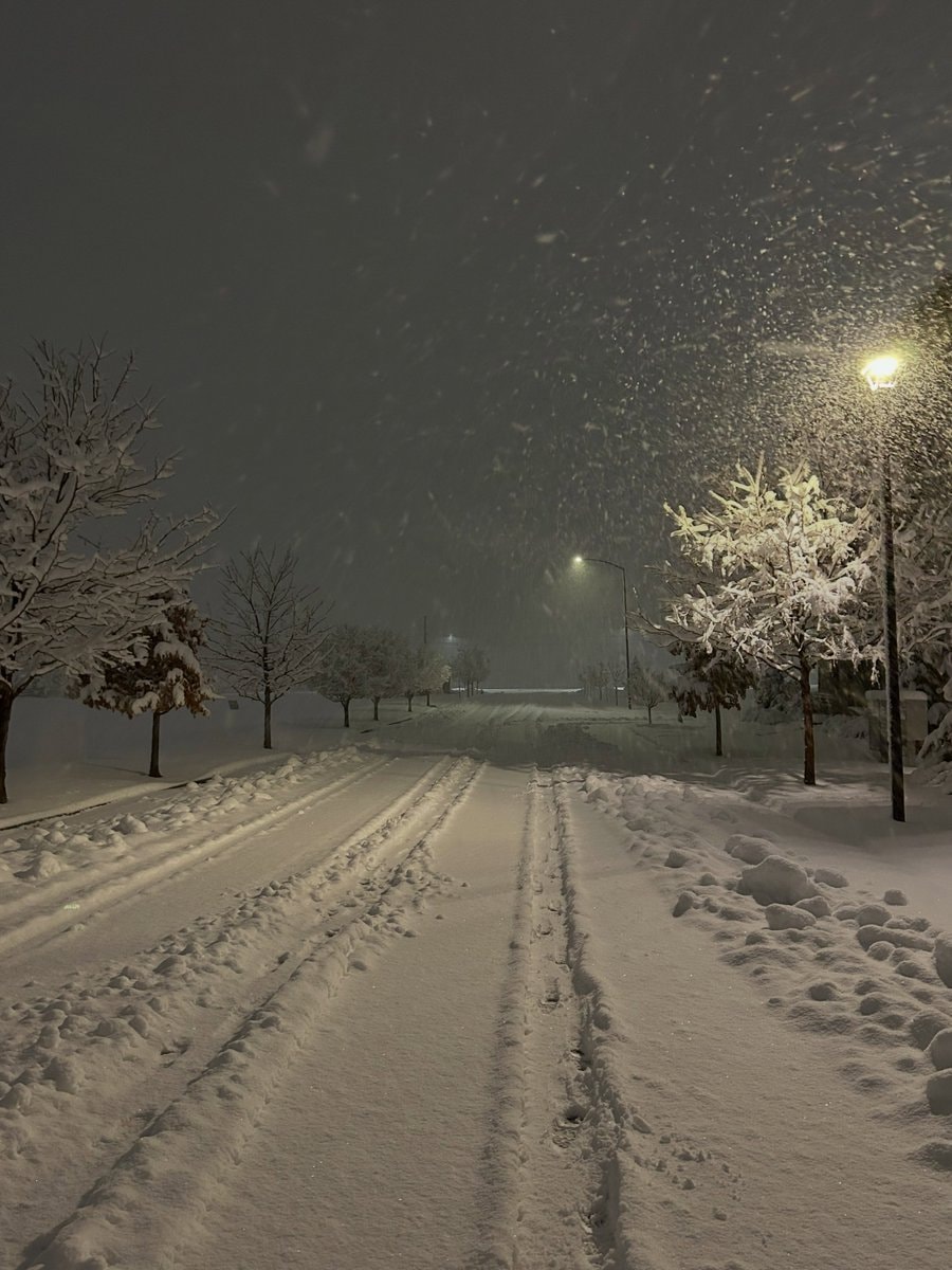 winter night (photo 2 of 4)