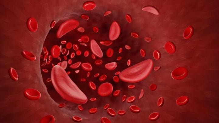 Gene therapies for sickle cell disease Gene therapies for sickle cell disease
