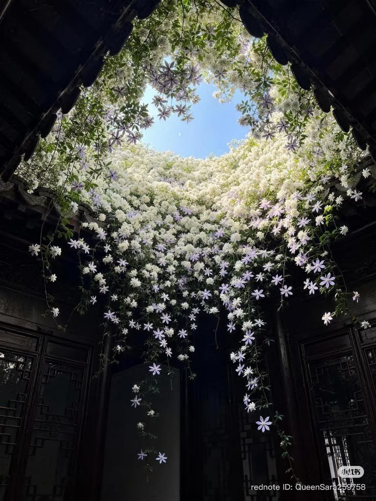 courtyard with purple flowers and dark wood (photo 2 of 2)