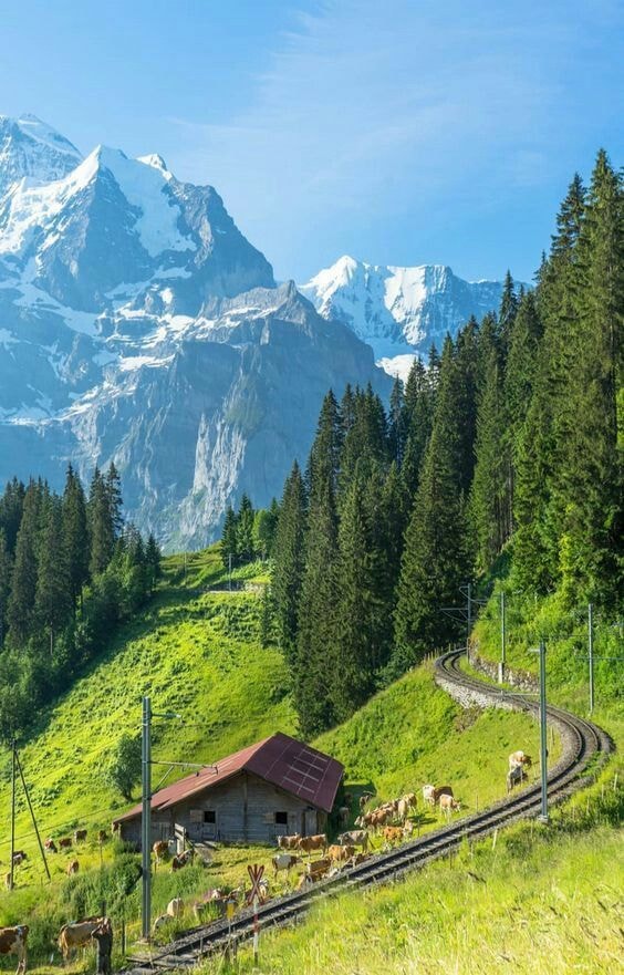 Engelberg Switzerland valley (photo 2 of 4)