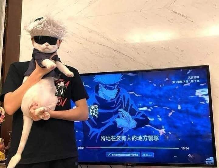 Cat dressed as Gojo Satoru
