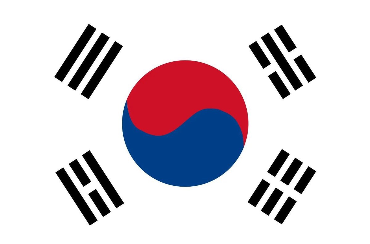 South Africa vs South Korea World Cup (photo 2 of 2)