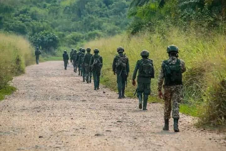 AFC/M23 takes Walikale territory AFC/M23 takes Walikale territory