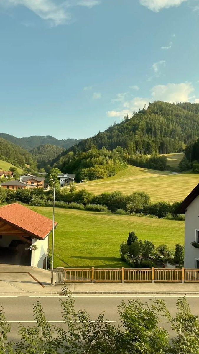 Austria countryside cows (photo 3 of 4)
