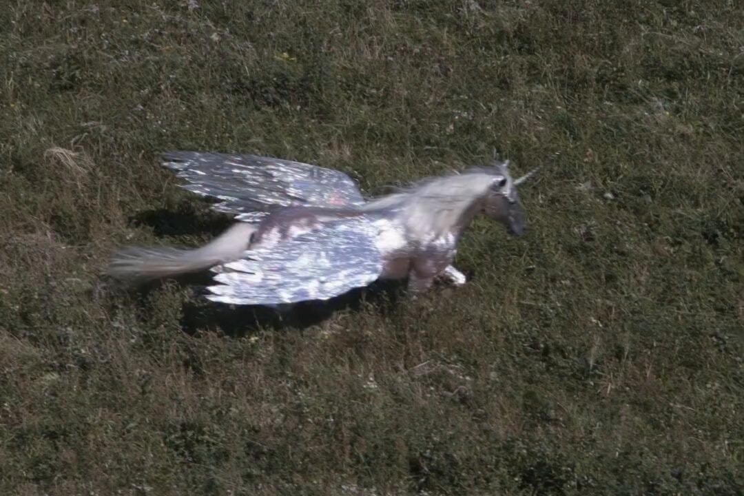 winged unicorn running