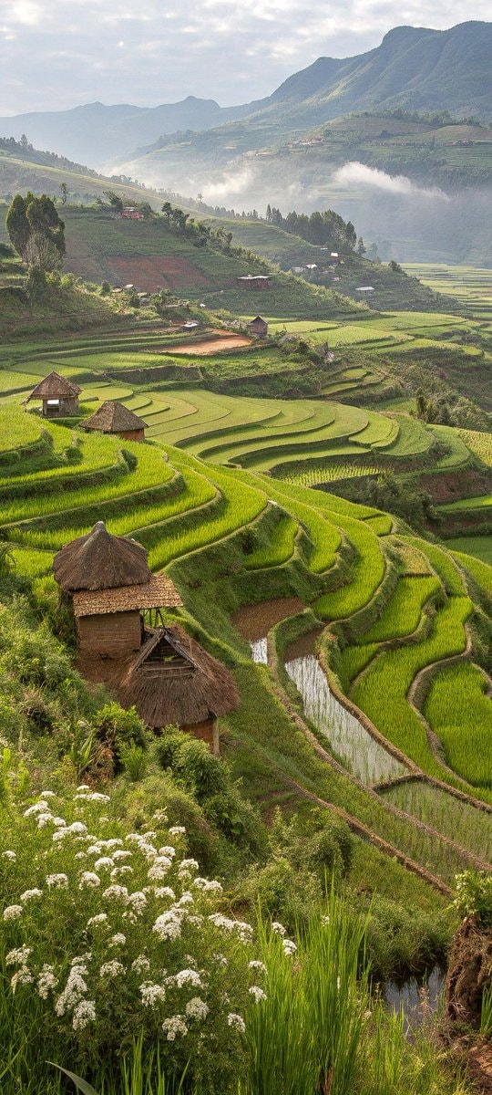 Philippines Rice Terraces