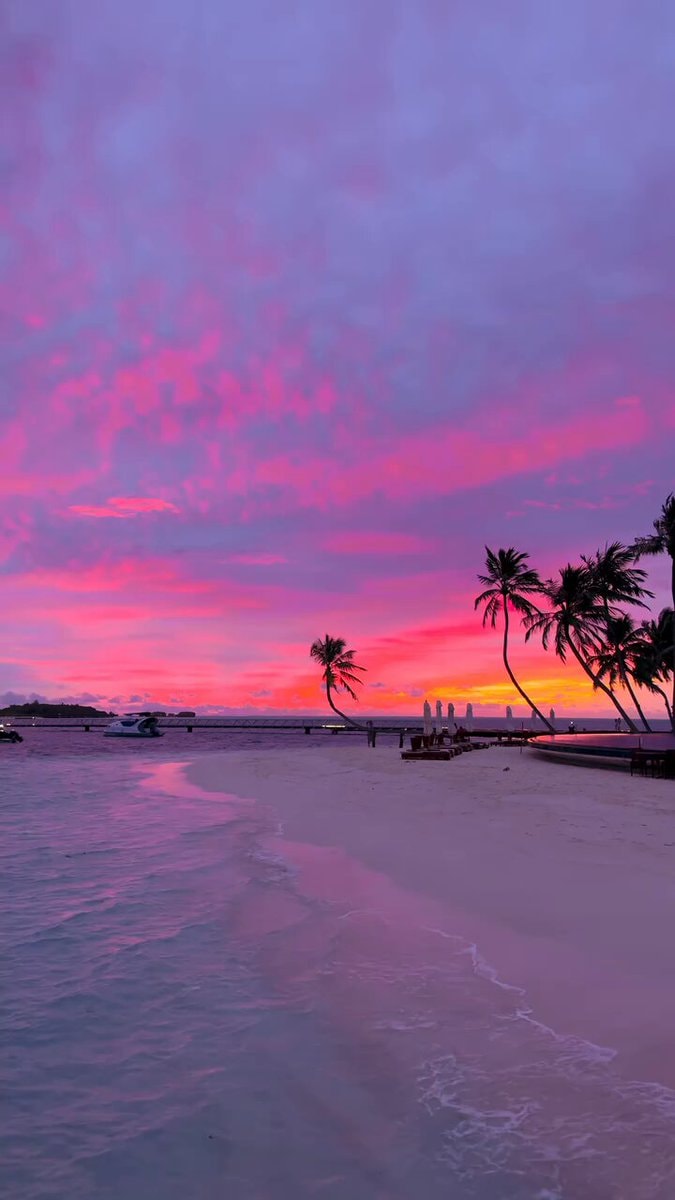 tropical beach sunset