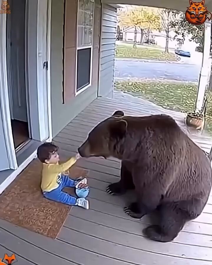 unbelievable funny camera moments unbelievable funny camera moments