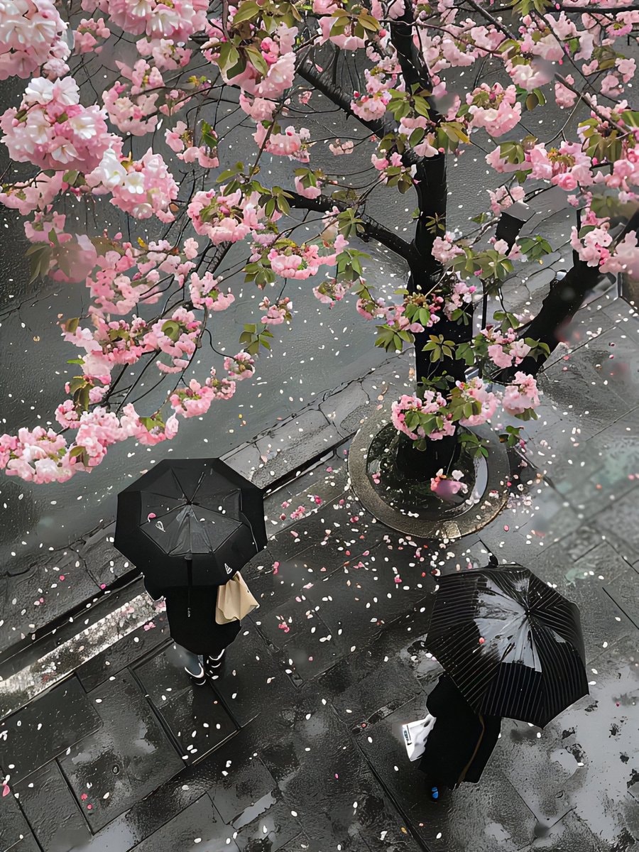 pink petals on city street