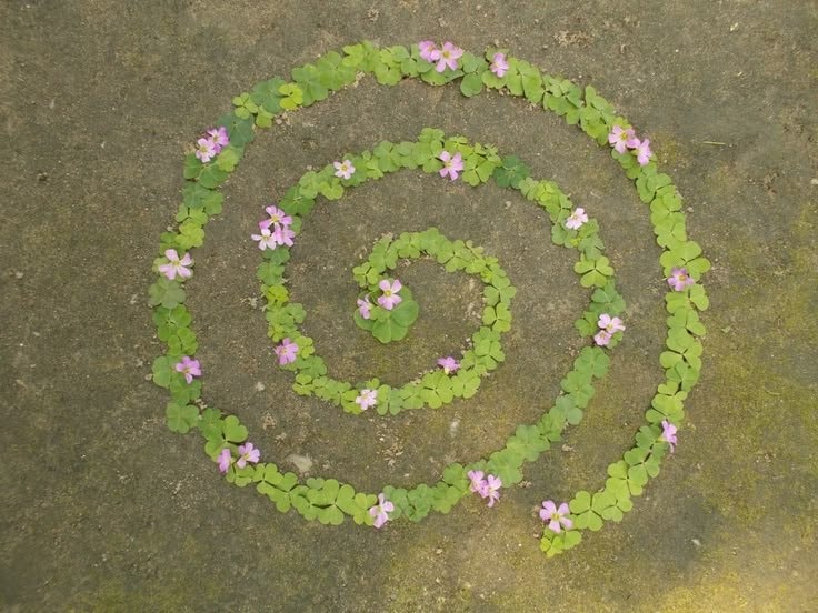 clover spiral with pink flowers