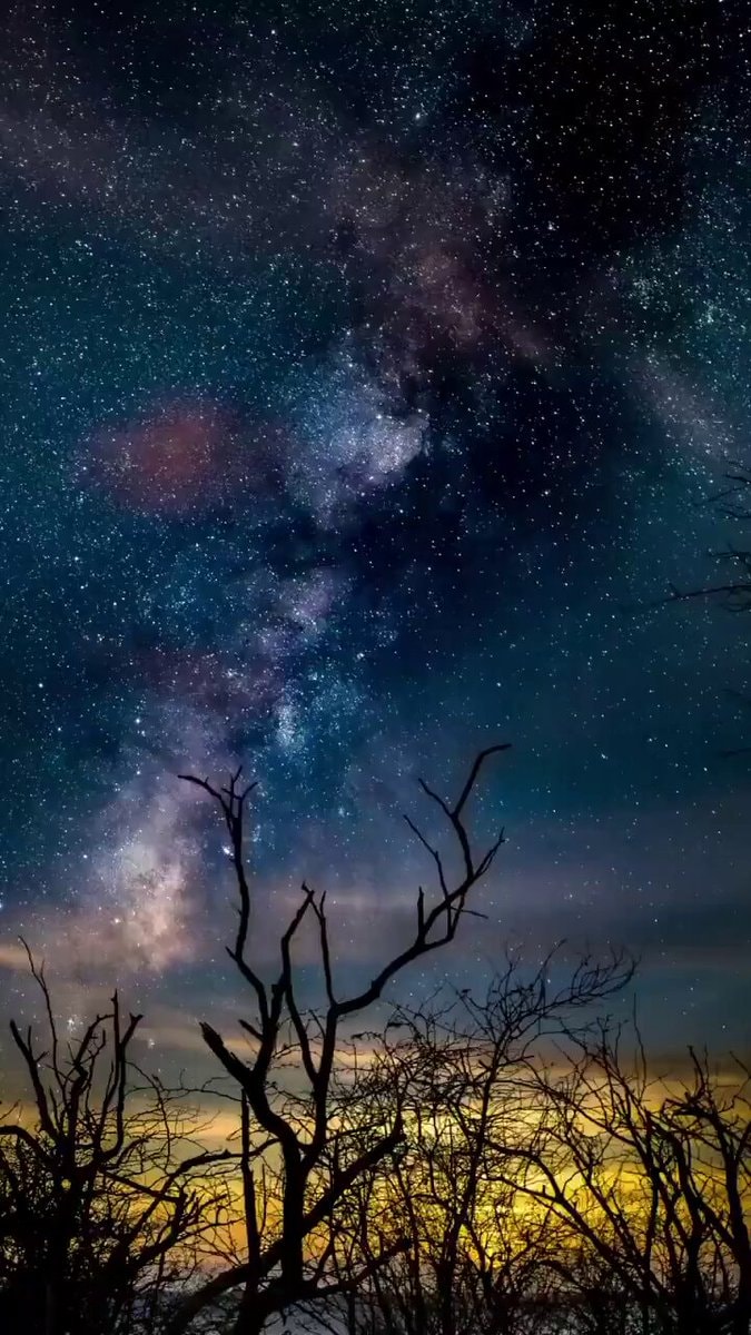 Carl Sagan cosmos quote