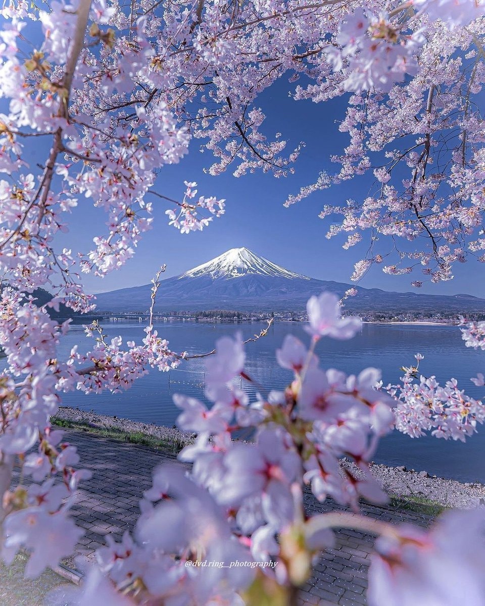 Mount Fuji Japan
