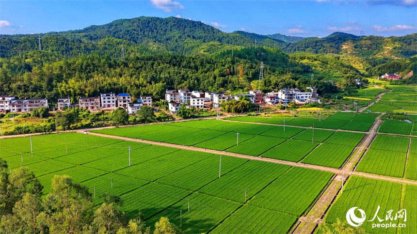 Huichang Jiangxi aerial autumn views (photo 4 of 4) Huichang Jiangxi aerial autumn views (photo 4 of 4)