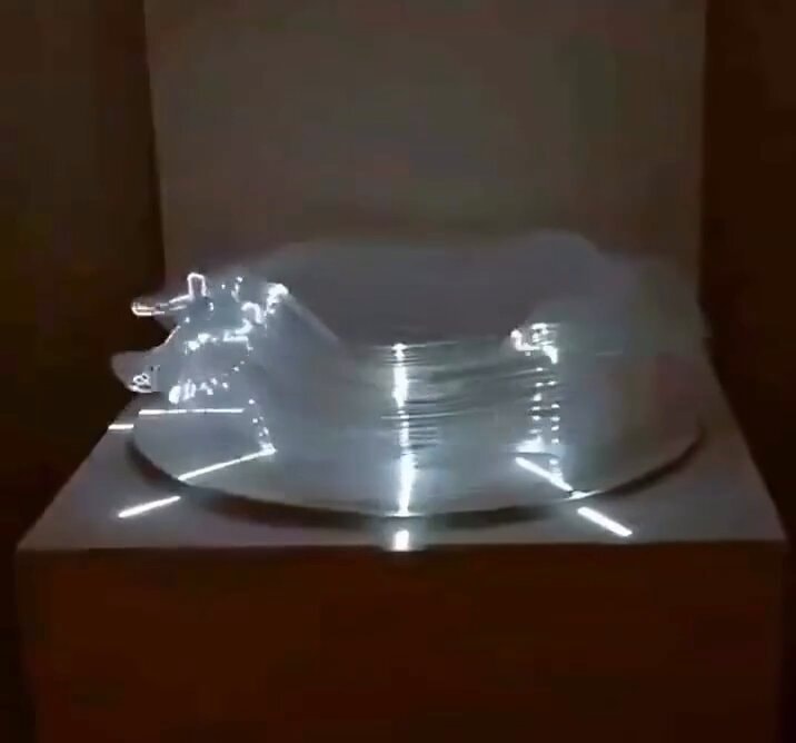 Zoetrope horse art