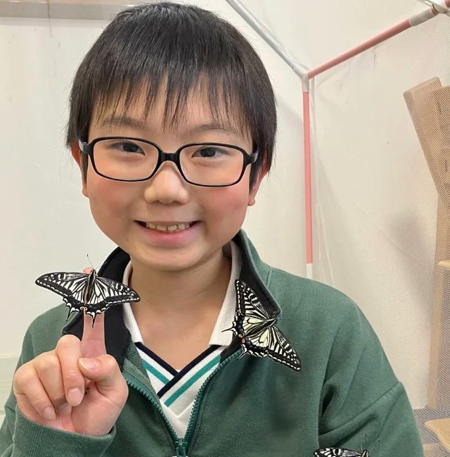 Japanese student butterfly memory experiment