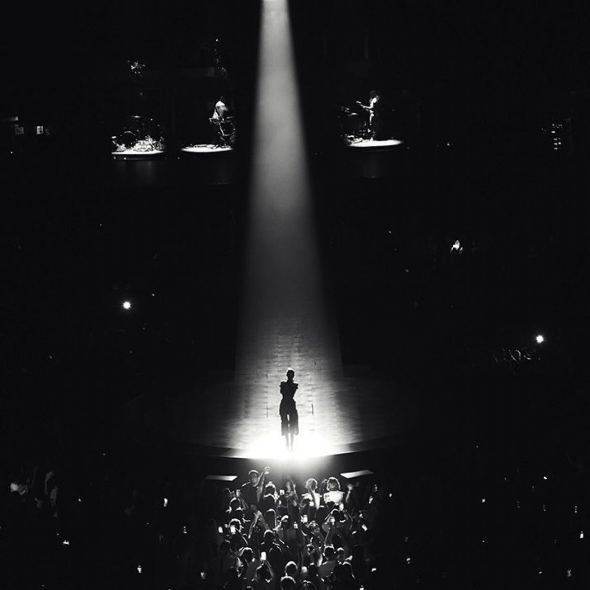 Ariana Grande petal live album