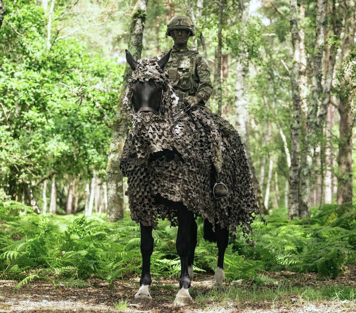British Military war horses