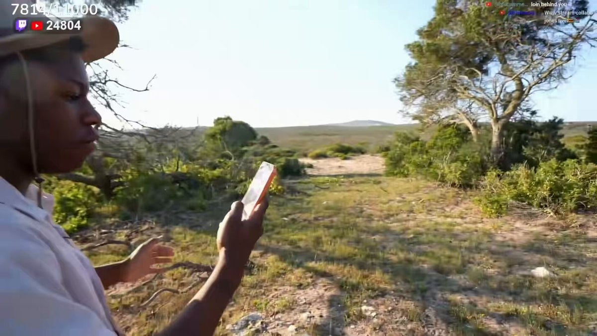 RaKai wild giraffe encounter South Africa RaKai wild giraffe encounter South Africa