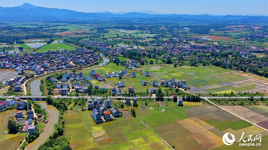 Tuoshang Village Jiangxi Early Summer (photo 2 of 4)