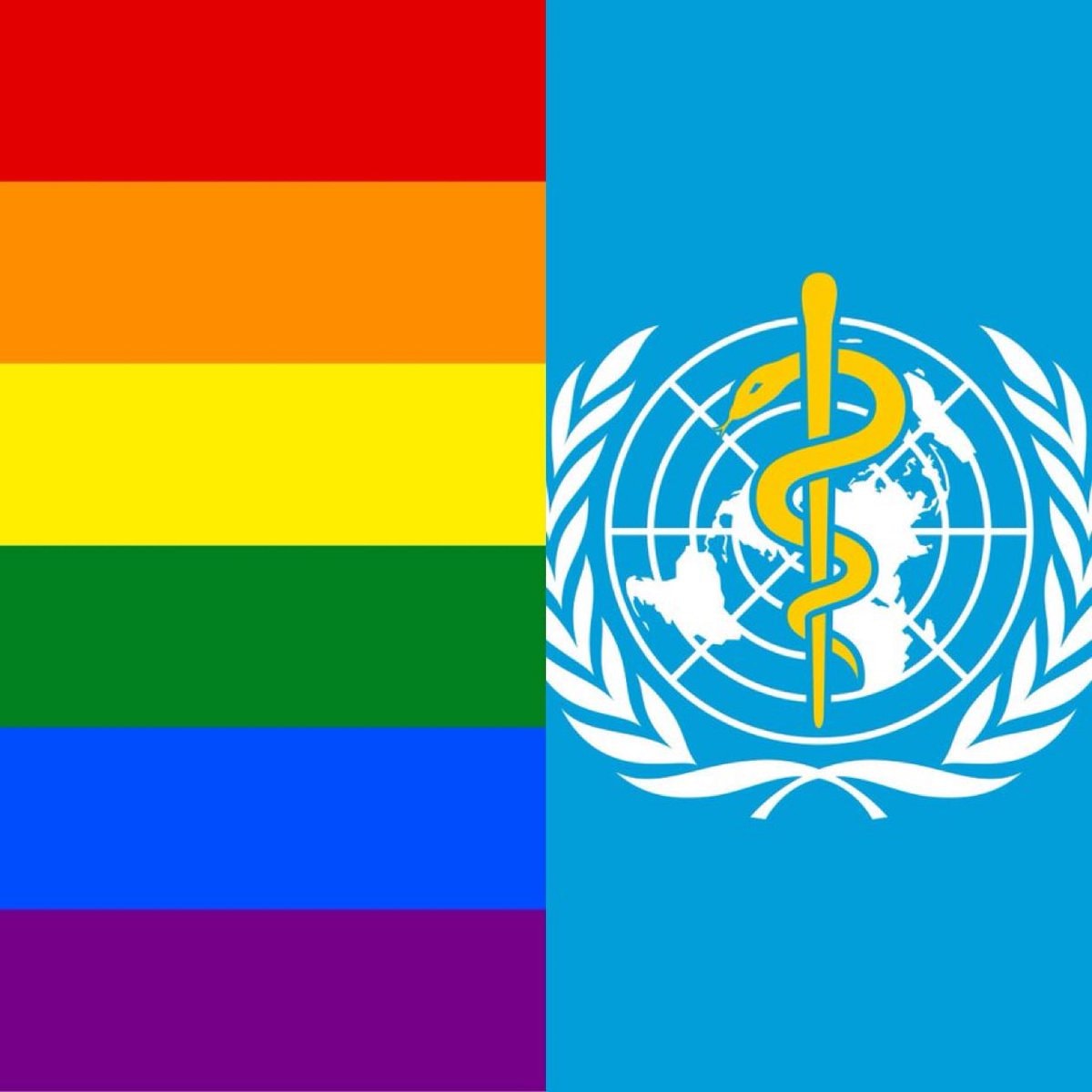 WHO homosexuality mental illness ruling 1990 WHO homosexuality mental illness ruling 1990