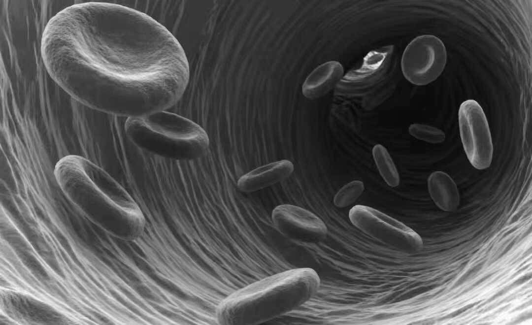 30 trillion cells working for you