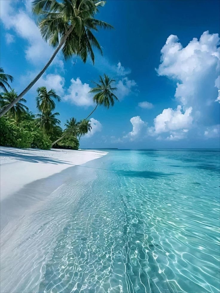 Maldives beach view 🇲🇻