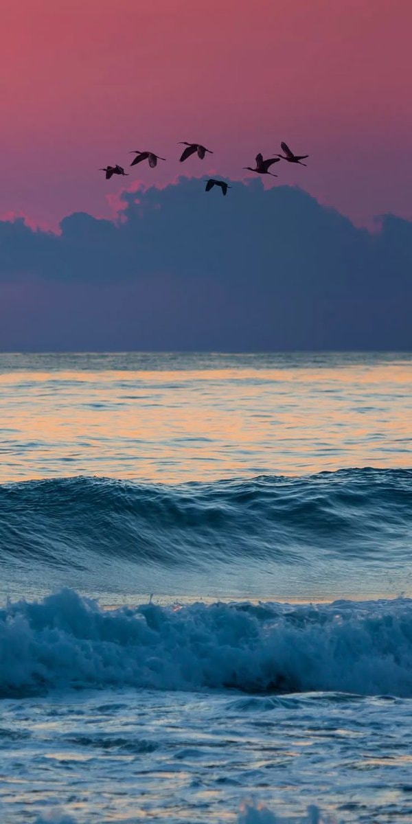 sunlit ocean waves (photo 4 of 4)