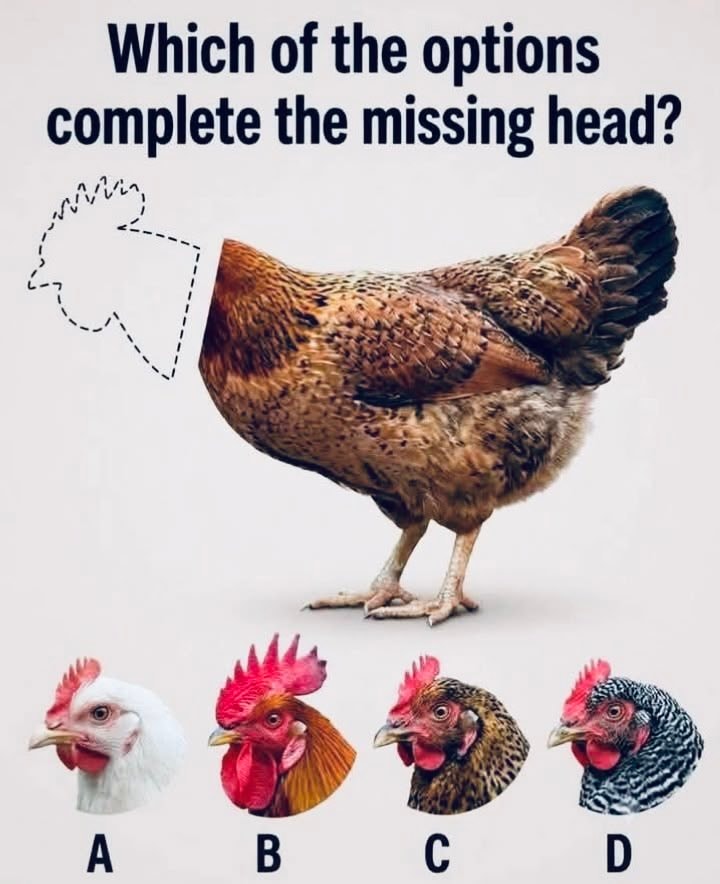 X difficult question meme