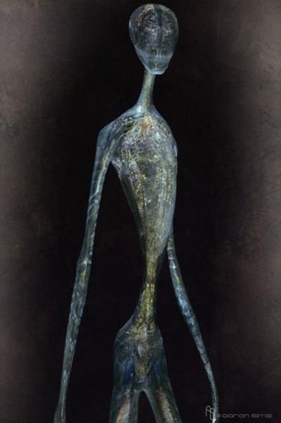 who speaks for humanity if aliens arrive