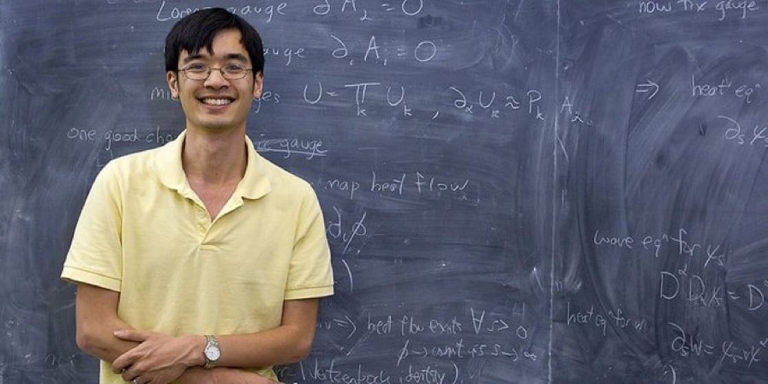 Terence Tao quote on mathematics